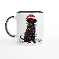 Load image into Gallery viewer, 8c8ed495-707a-4ac6-92d7-1c82fe99f698
